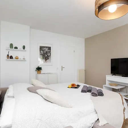 Tres Spacieux Et Design Le Bella Climatise Lejlighed